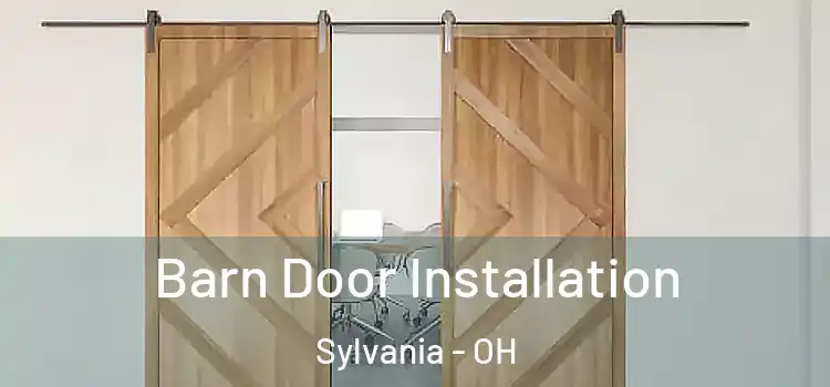  Barn Door Installation Sylvania - OH
