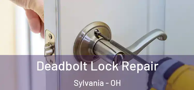 Deadbolt Lock Repair Sylvania - OH