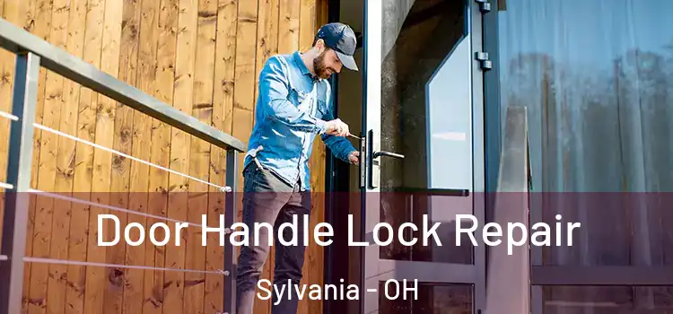  Door Handle Lock Repair Sylvania - OH