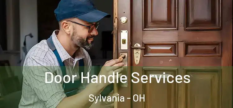  Door Handle Services Sylvania - OH