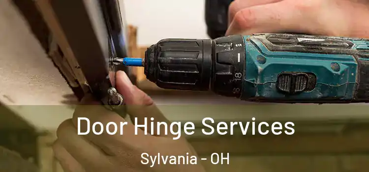  Door Hinge Services Sylvania - OH