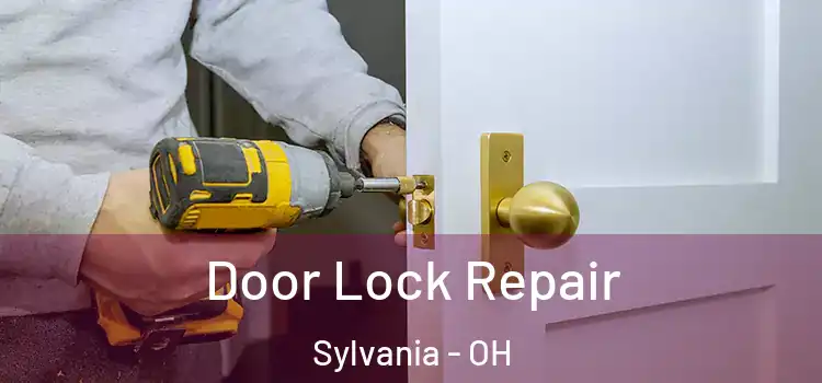  Door Lock Repair Sylvania - OH