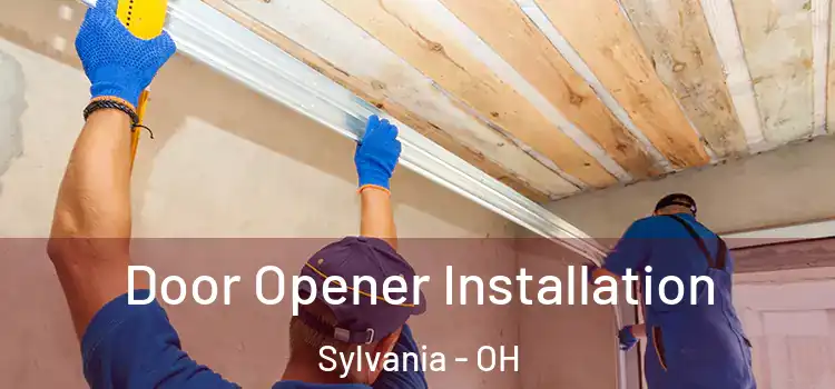 Door Opener Installation Sylvania - OH