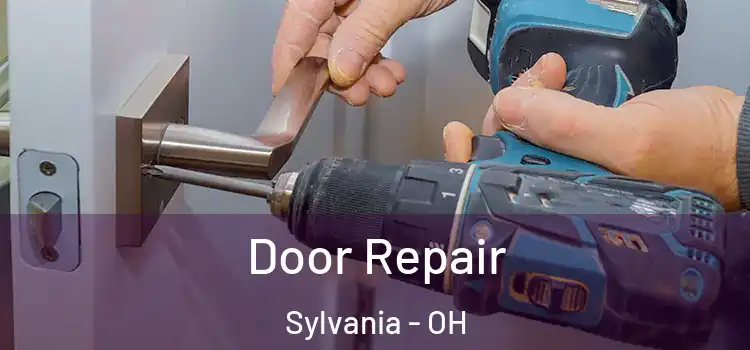  Door Repair Sylvania - OH