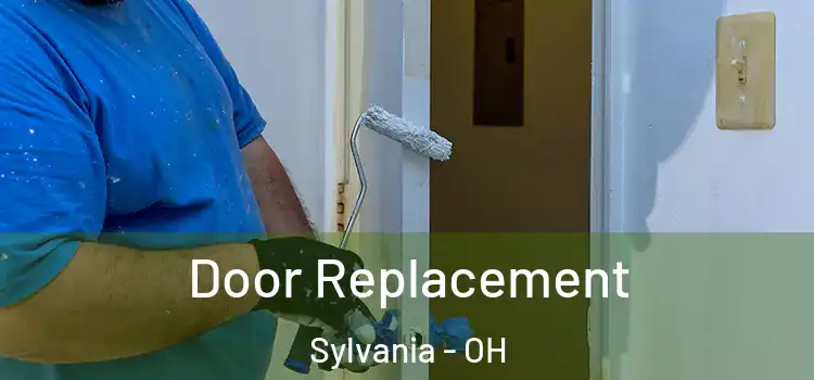  Door Replacement Sylvania - OH