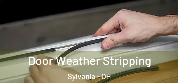  Door Weather Stripping Sylvania - OH