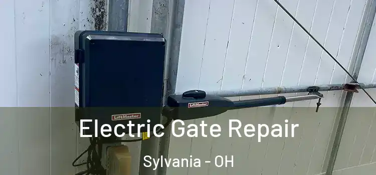  Electric Gate Repair Sylvania - OH