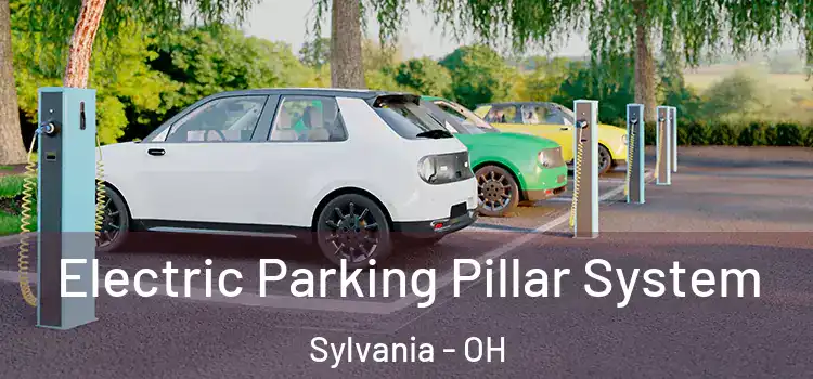 Electric Parking Pillar System Sylvania - OH