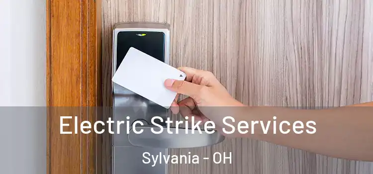  Electric Strike Services Sylvania - OH