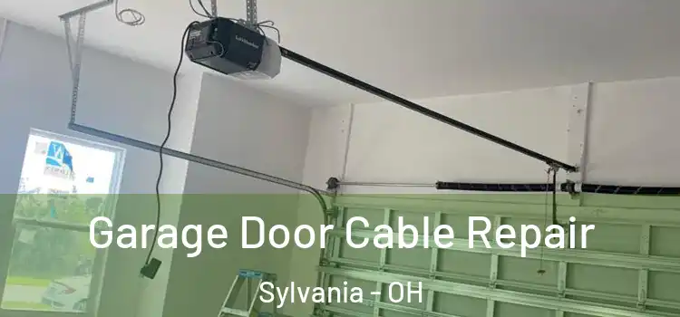  Garage Door Cable Repair Sylvania - OH