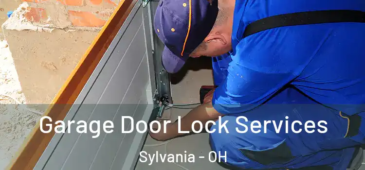 Garage Door Lock Services Sylvania - OH