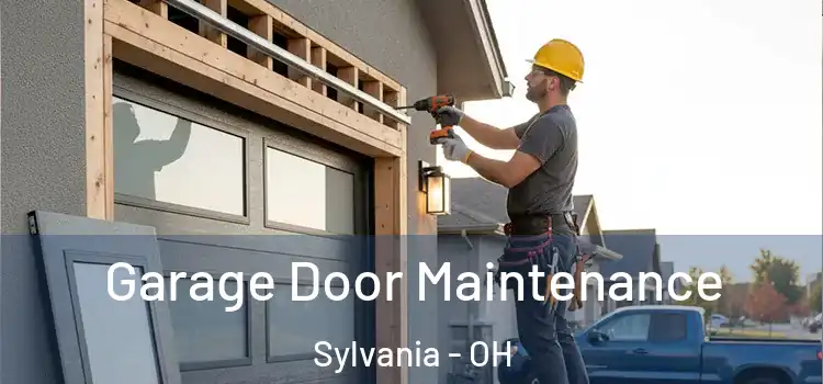  Garage Door Maintenance Sylvania - OH