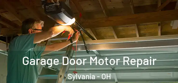  Garage Door Motor Repair Sylvania - OH