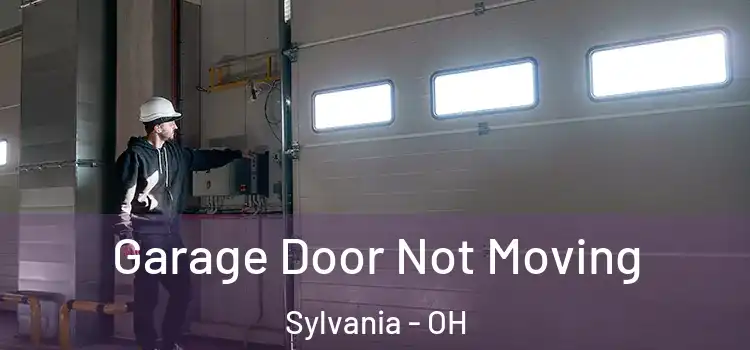  Garage Door Not Moving Sylvania - OH