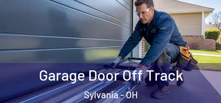  Garage Door Off Track Sylvania - OH