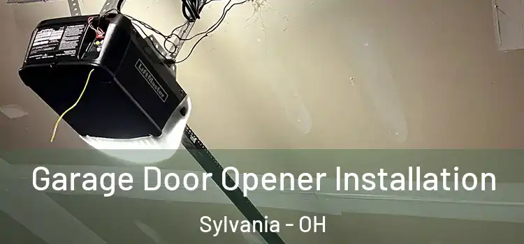  Garage Door Opener Installation Sylvania - OH