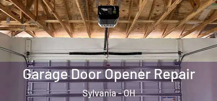  Garage Door Opener Repair Sylvania - OH