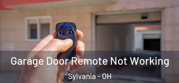  Garage Door Remote Not Working Sylvania - OH