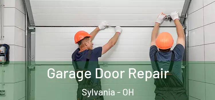  Garage Door Repair Sylvania - OH