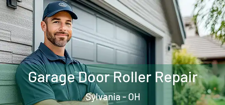  Garage Door Roller Repair Sylvania - OH