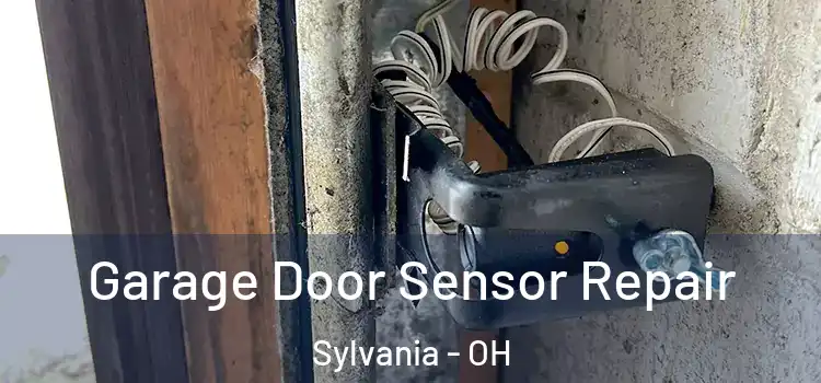  Garage Door Sensor Repair Sylvania - OH