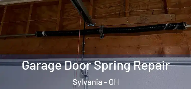  Garage Door Spring Repair Sylvania - OH