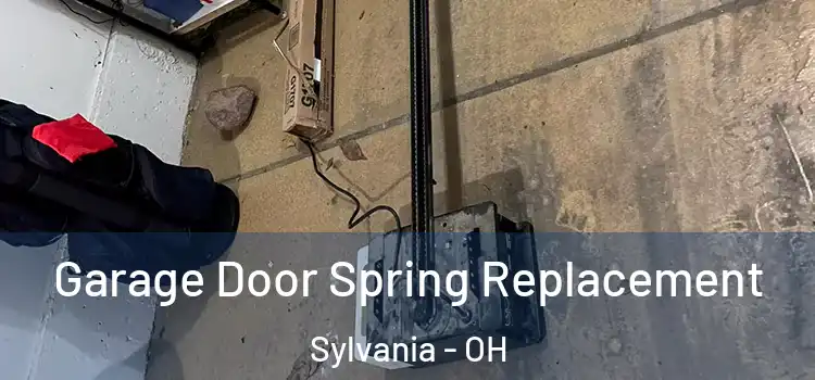  Garage Door Spring Replacement Sylvania - OH