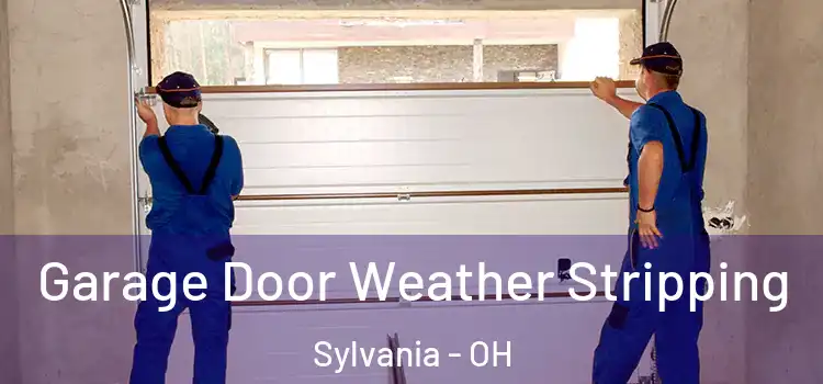  Garage Door Weather Stripping Sylvania - OH
