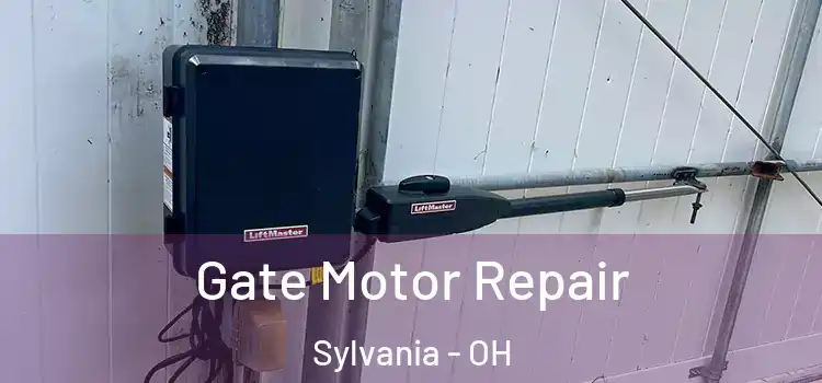  Gate Motor Repair Sylvania - OH