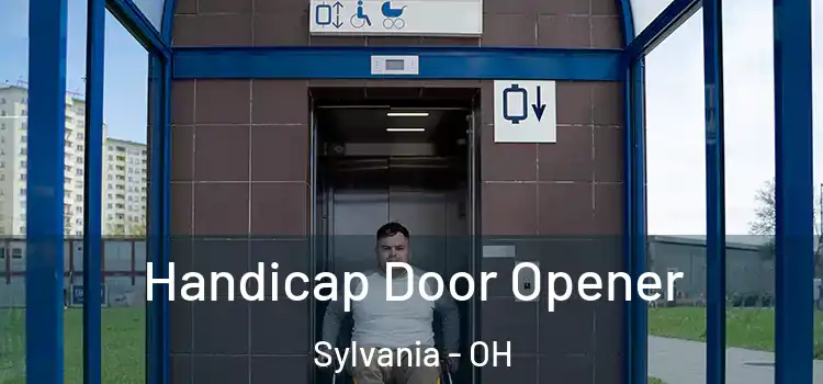  Handicap Door Opener Sylvania - OH