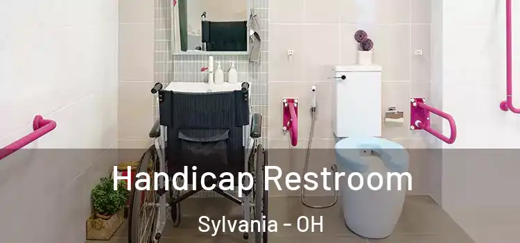 Handicap Restroom Sylvania - OH