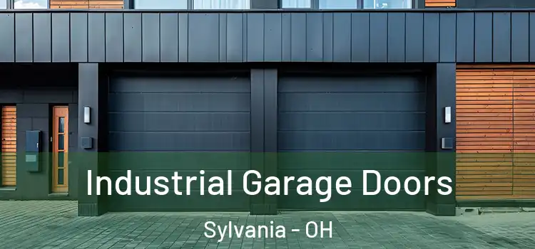  Industrial Garage Doors Sylvania - OH