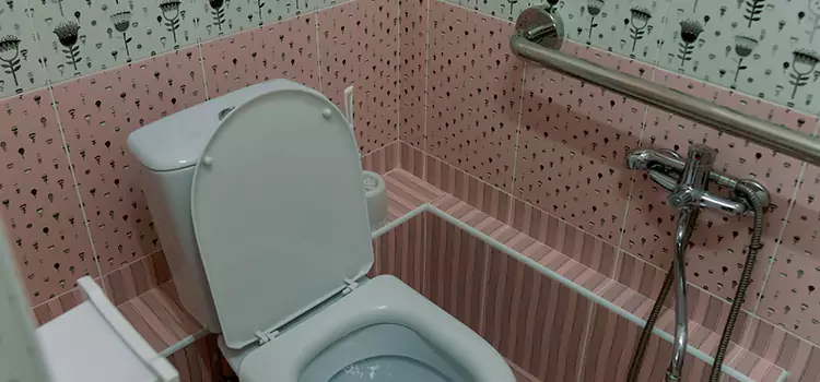 Meeting Diverse Needs With Accessible Restroom Solutions in Sylvania, OH