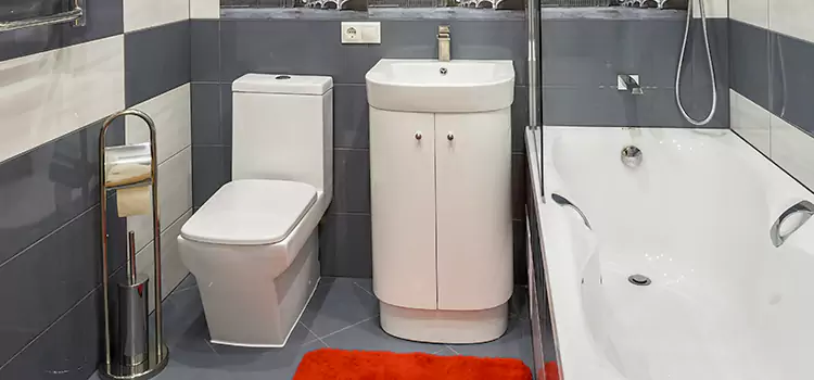 Hansgrohe Shaving Mirror Sylvania