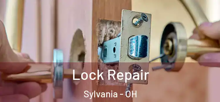  Lock Repair Sylvania - OH