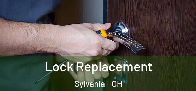  Lock Replacement Sylvania - OH