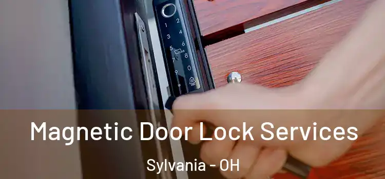 Magnetic Door Lock Services Sylvania - OH