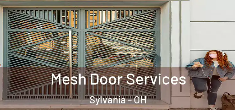  Mesh Door Services Sylvania - OH