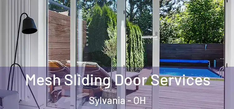 Mesh Sliding Door Services Sylvania - OH