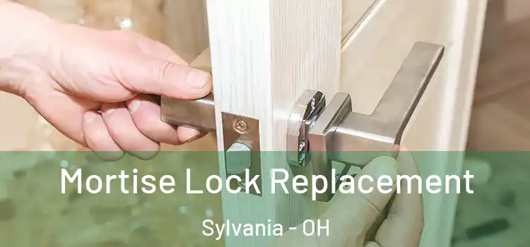  Mortise Lock Replacement Sylvania - OH
