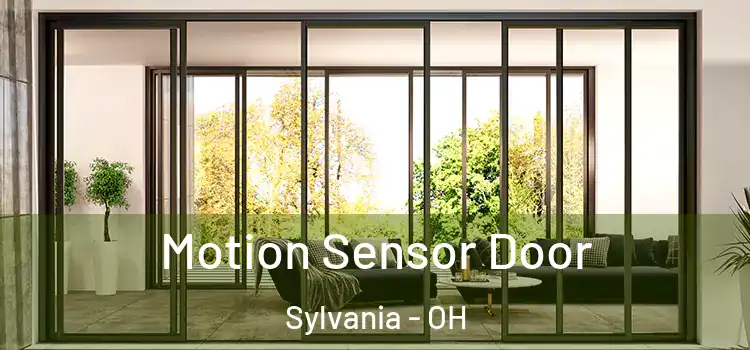  Motion Sensor Door Sylvania - OH
