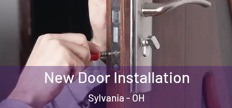 New Door Installation Sylvania - OH
