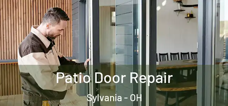  Patio Door Repair Sylvania - OH
