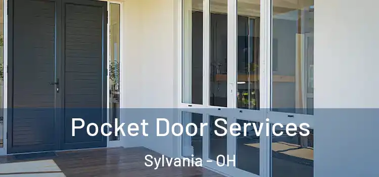  Pocket Door Services Sylvania - OH