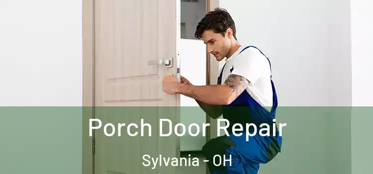  Porch Door Repair Sylvania - OH