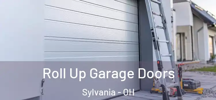  Roll Up Garage Doors Sylvania - OH