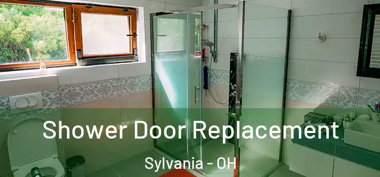  Shower Door Replacement Sylvania - OH