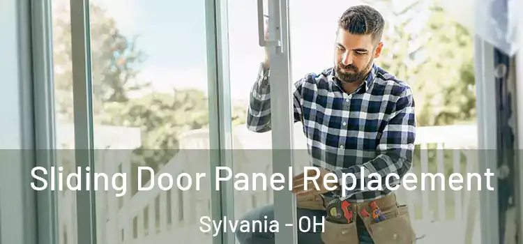  Sliding Door Panel Replacement Sylvania - OH