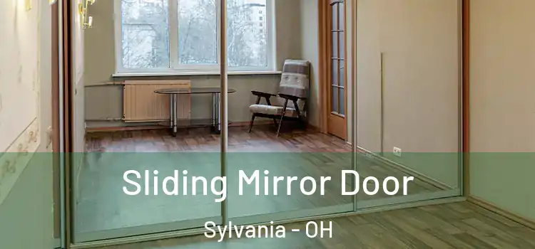  Sliding Mirror Door Sylvania - OH