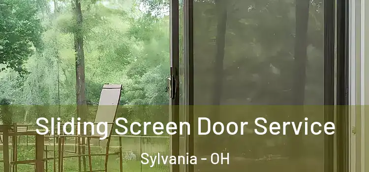 Sliding Screen Door Service Sylvania - OH